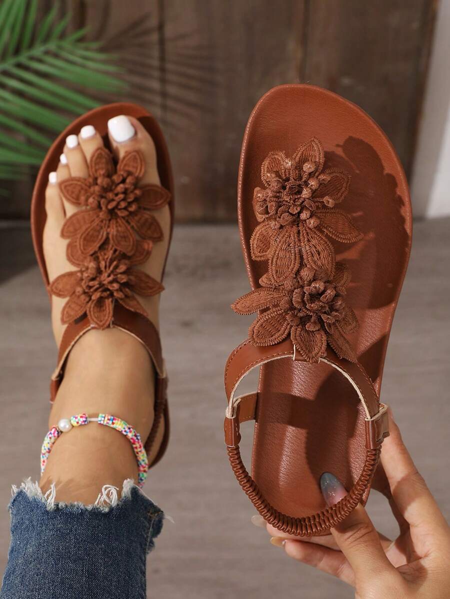 Camel / 10